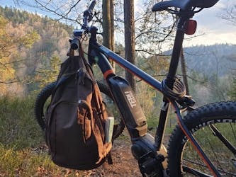 Passeio guiado de bicicleta elétrica no Parque Nacional da Floresta da Baviera